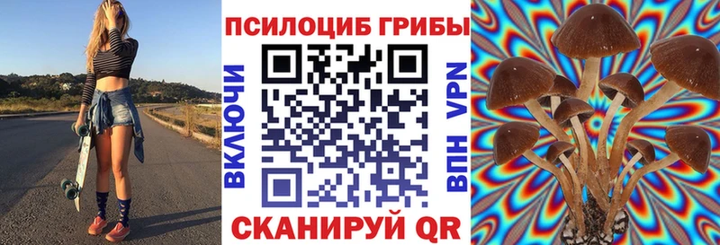 МЕГА ссылки  Нижний Ломов  сайты даркнета наркотические препараты  Псилоцибиновые грибы Magic Shrooms 